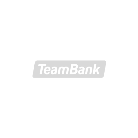 TeamBank